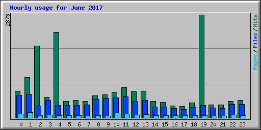 Hourly usage for June 2017