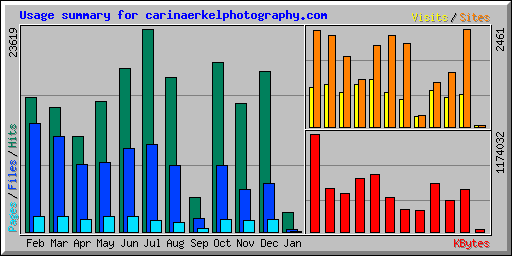Usage summary for carinaerkelphotography.com