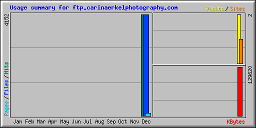 Usage summary for ftp.carinaerkelphotography.com